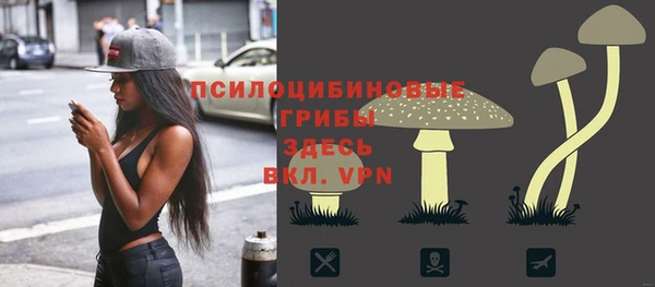 spice Осташков